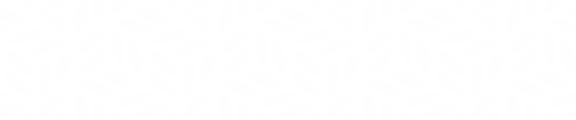 a black wall with a tree in the corner
